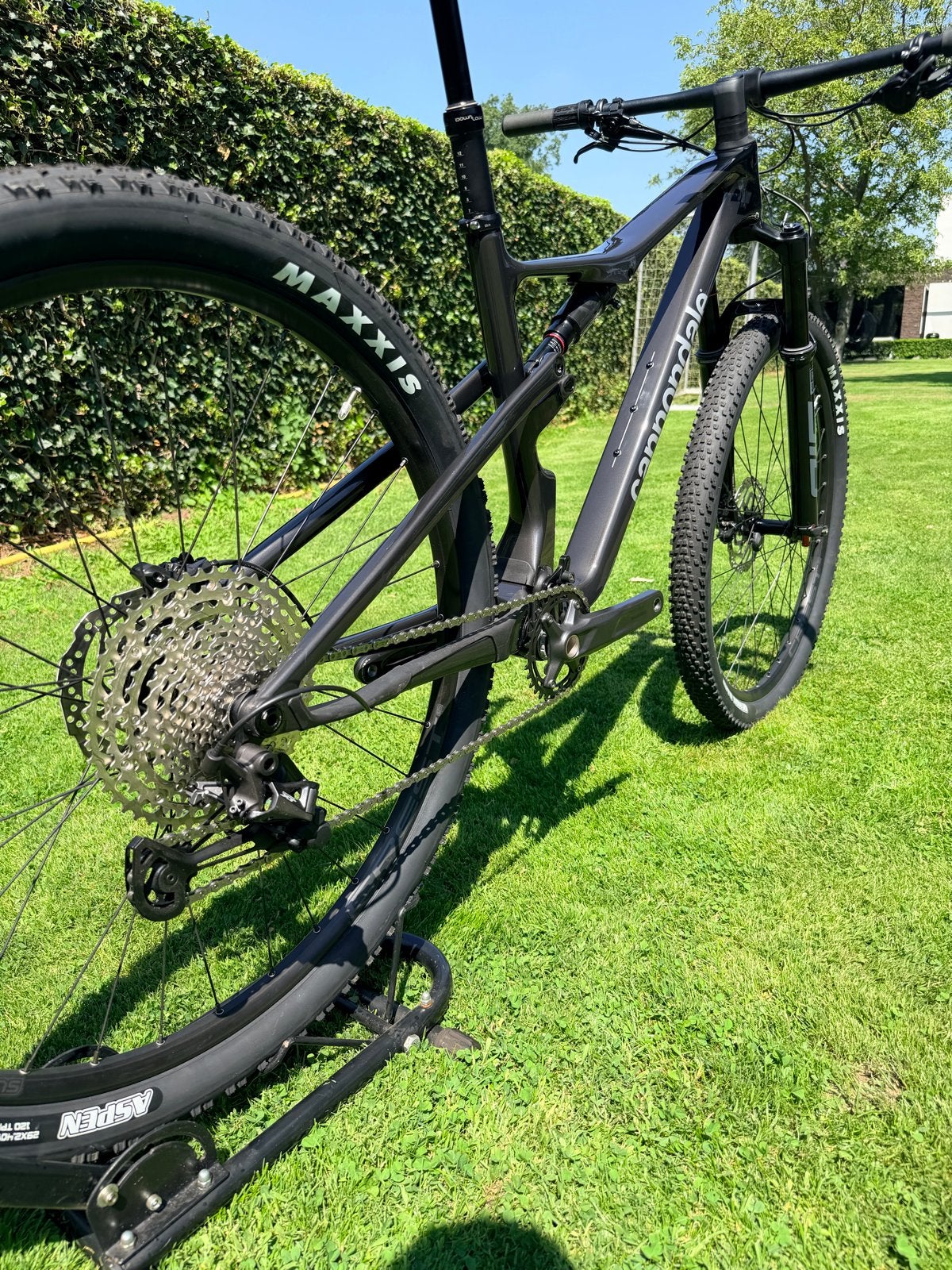 Nieuwe 2025 L Carbon Cannondale Scalpel MTB - Maat L, Nieuw, Schijfrem, Ophalen, Overige merken