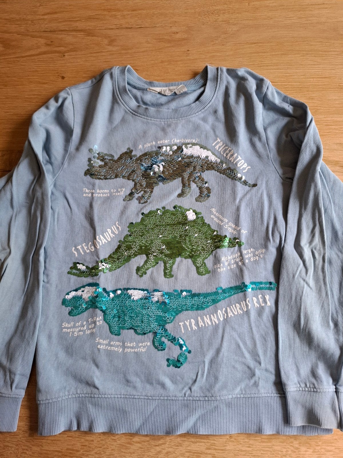 H&M sweater met dinosauriers/ dino maat 134/140, Ophalen, Gebruikt, Jongen of Meisje, Trui of Vest