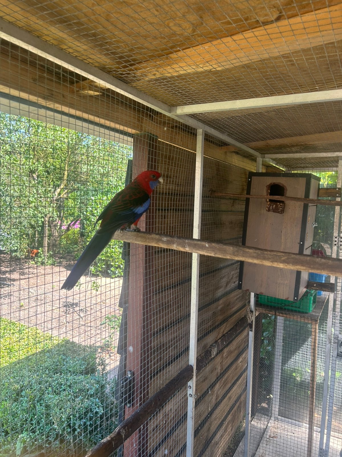 Pennantrosella, Dieren en Toebehoren