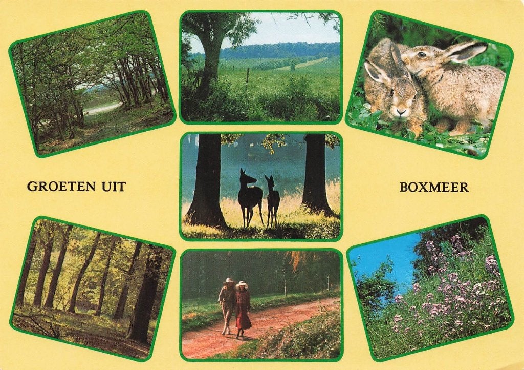 Groeten uit Boxmeer, Ophalen of Verzenden, 1980 tot heden, Gelopen, Noord-Brabant