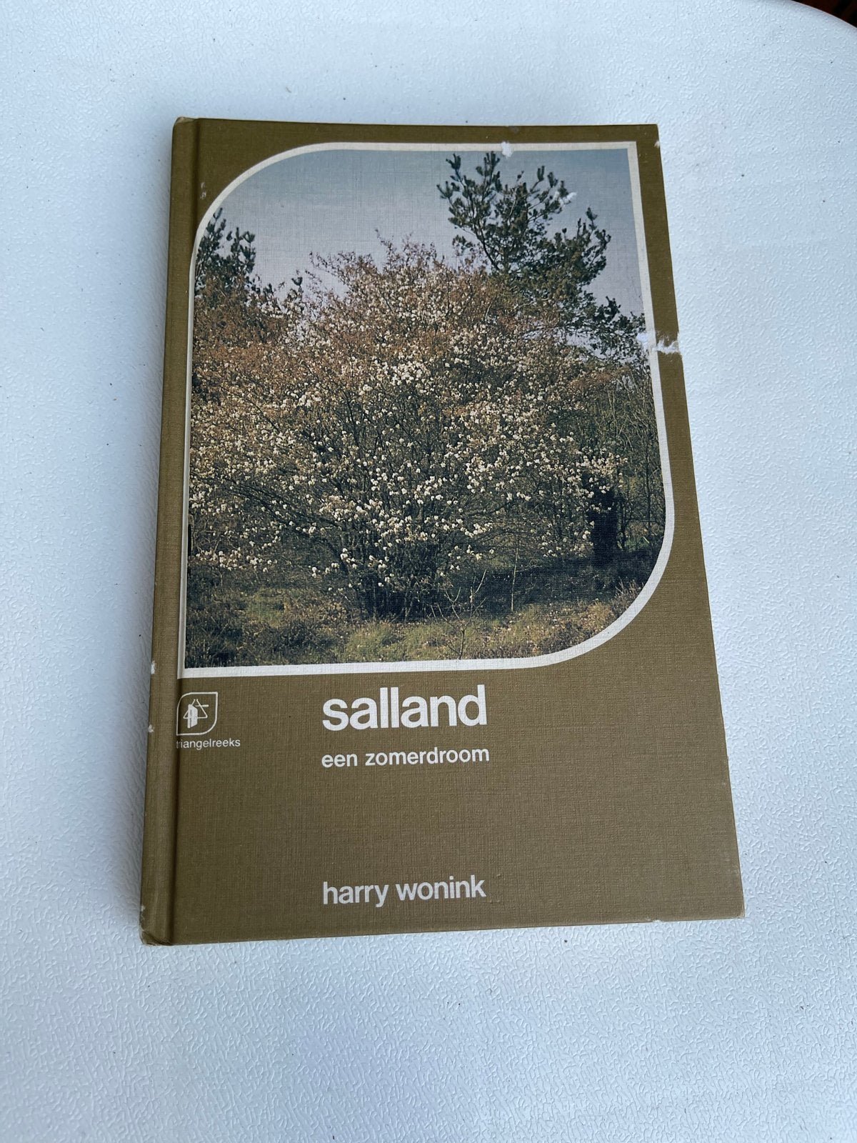 Salland een zomerdroom - Harry Wonink (Boek), Ophalen of Verzenden, Gelezen, Nederland