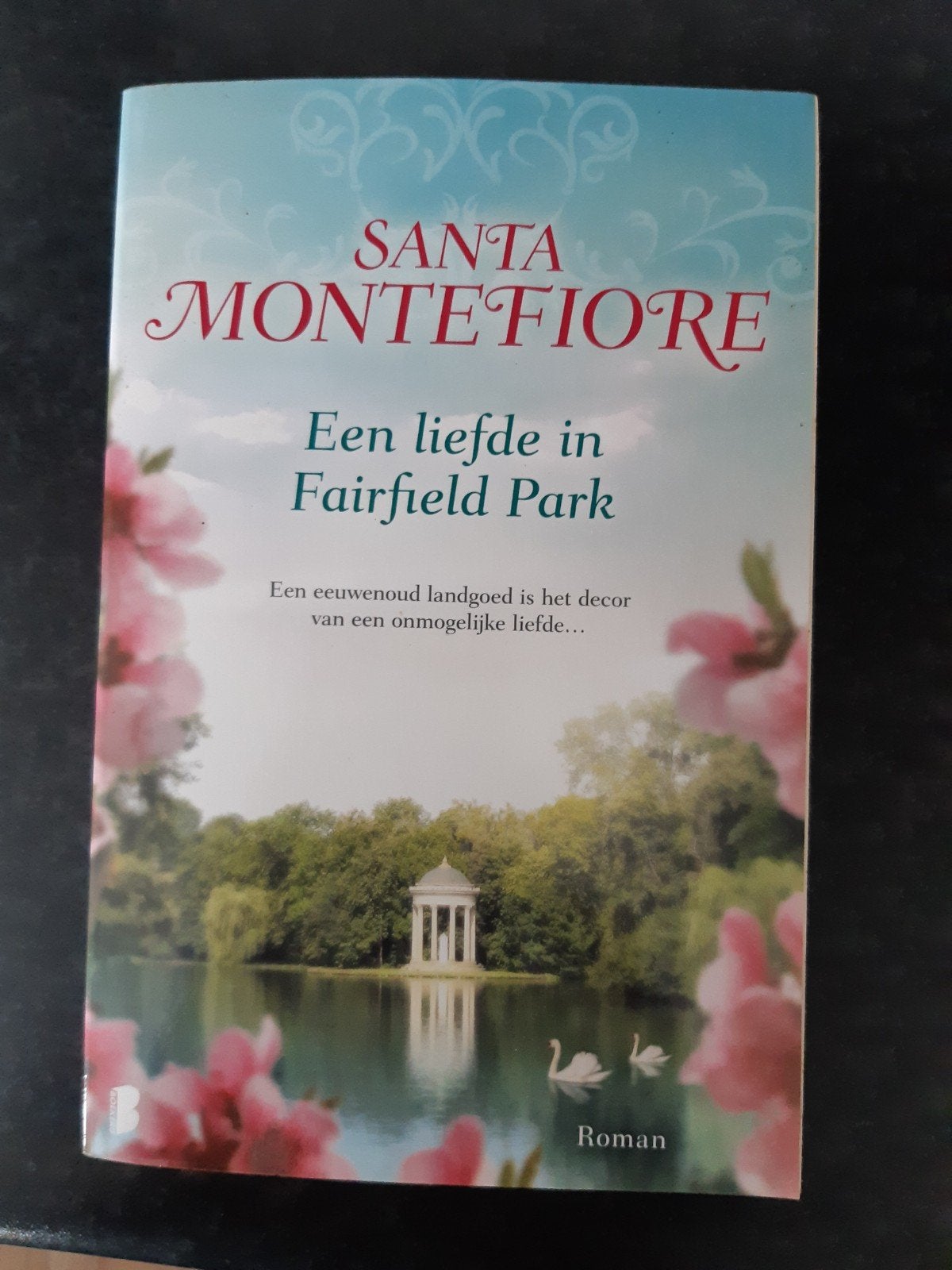 Santa montefiore boek, Ophalen of Verzenden