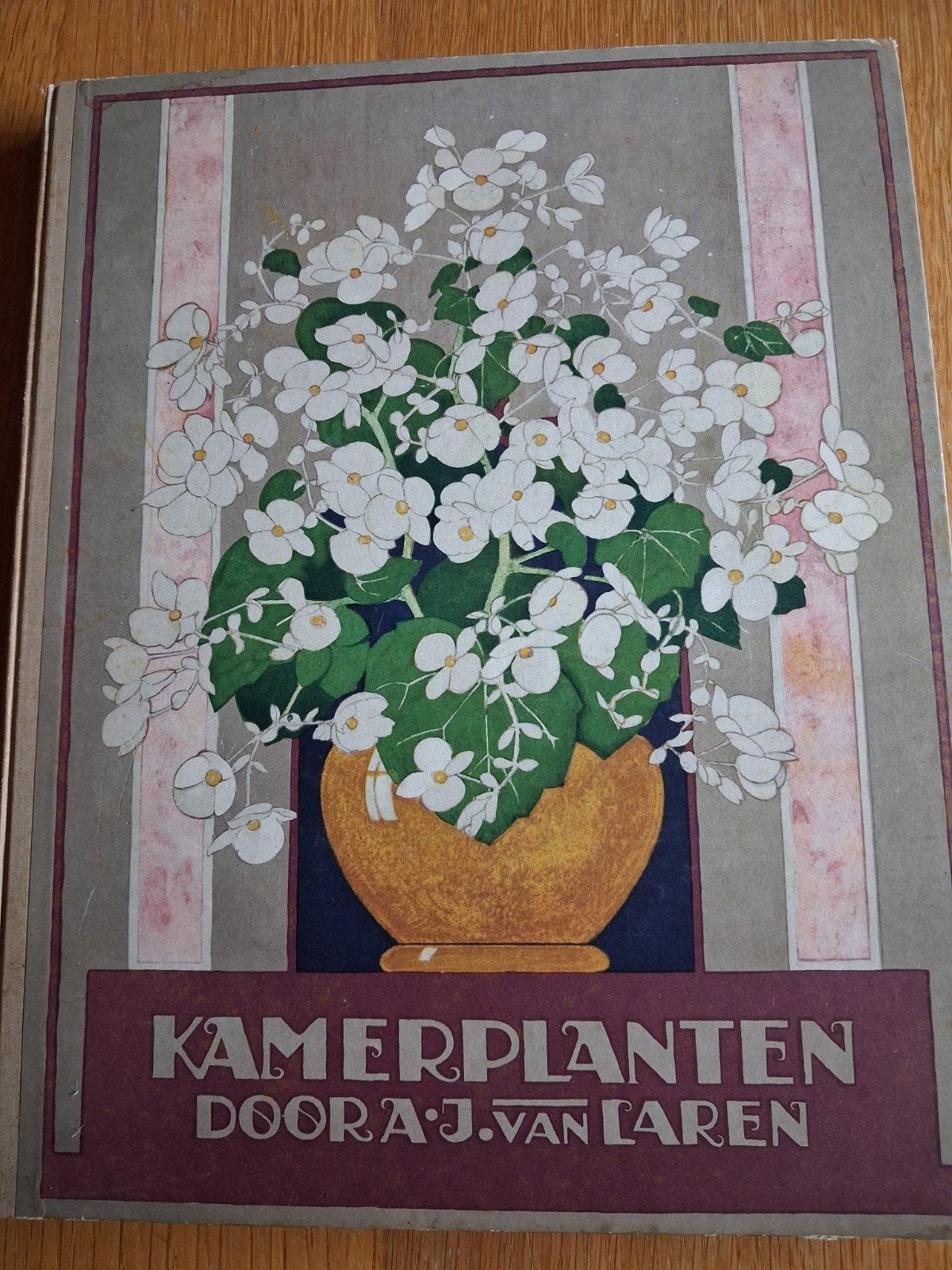 Kamerplanten Verkade-album, A.J.van Laren WD-022/9, Ophalen of Verzenden, Gelezen