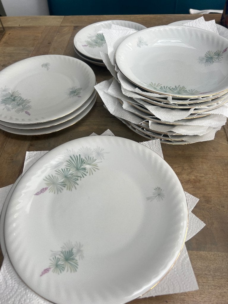 Mooi servies Arzberg Bavaria, Ophalen, Arzberg, Nieuw, Bord(en)