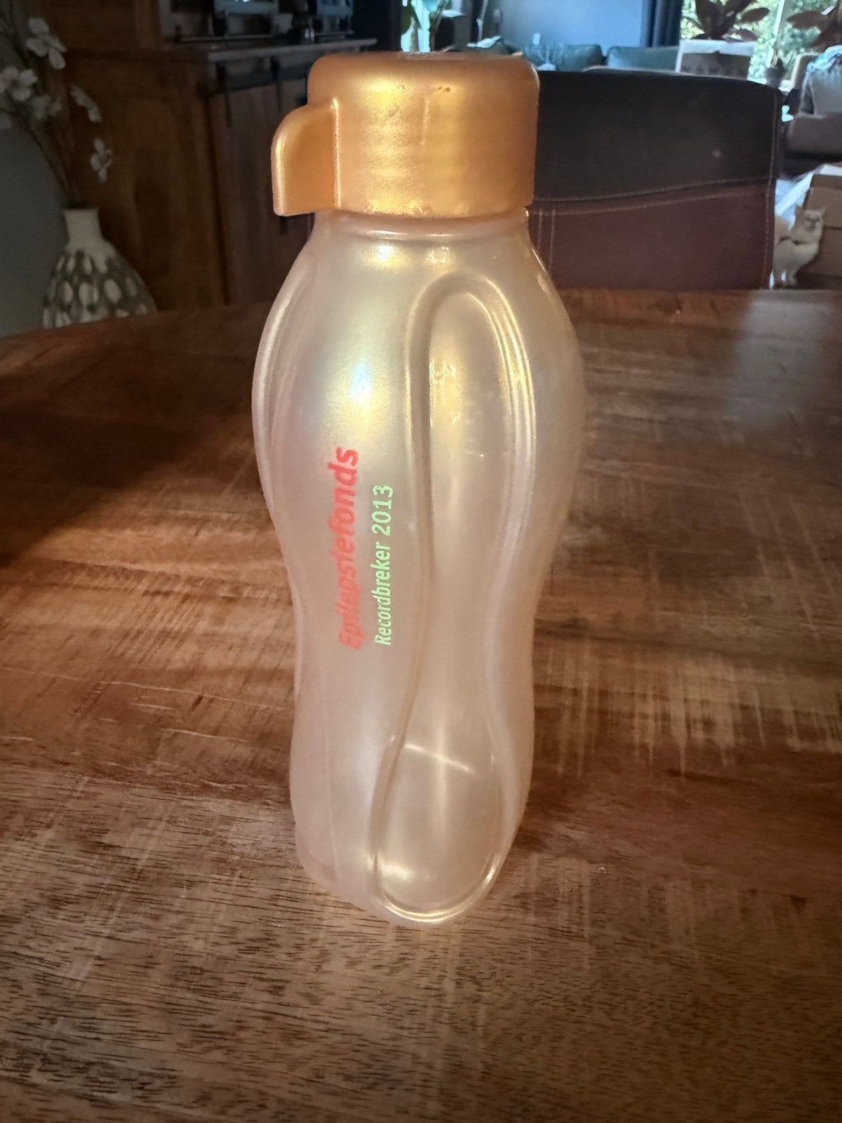 Tupperware Drinkfles Epilesiefonds Recordbreker 2013, Gebruikt, Overige kleuren, Ophalen of Verzenden, Met deksel