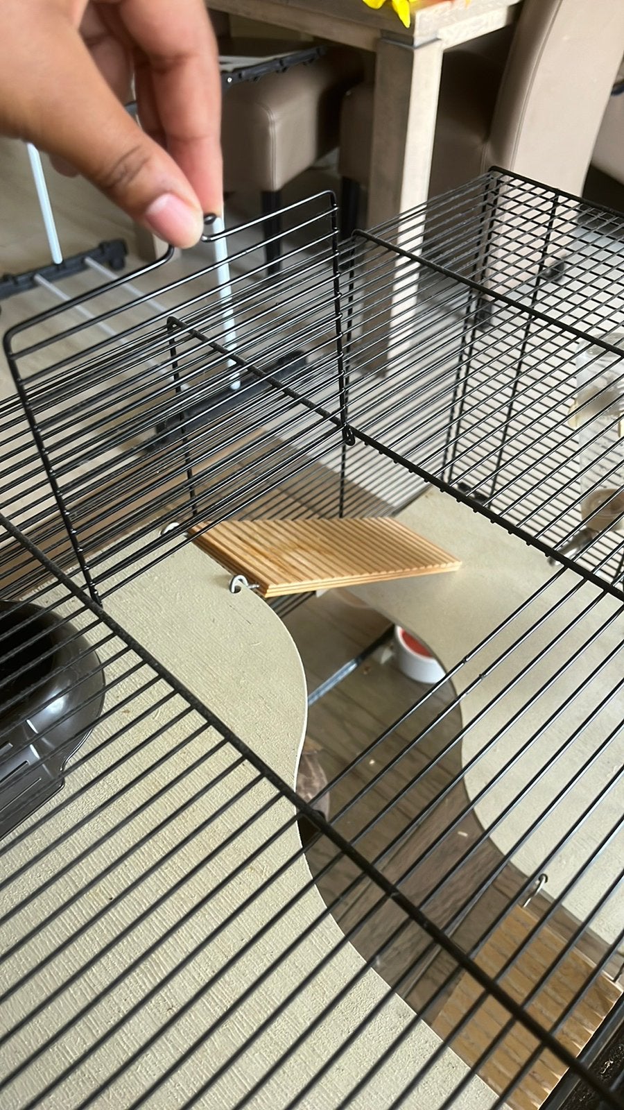 Hamster kooi + accessories, Dieren en Toebehoren, Knaagdieren en Konijnen | Hokken en Kooien, Minder dan 60 cm, Kooi, Minder dan 75 cm