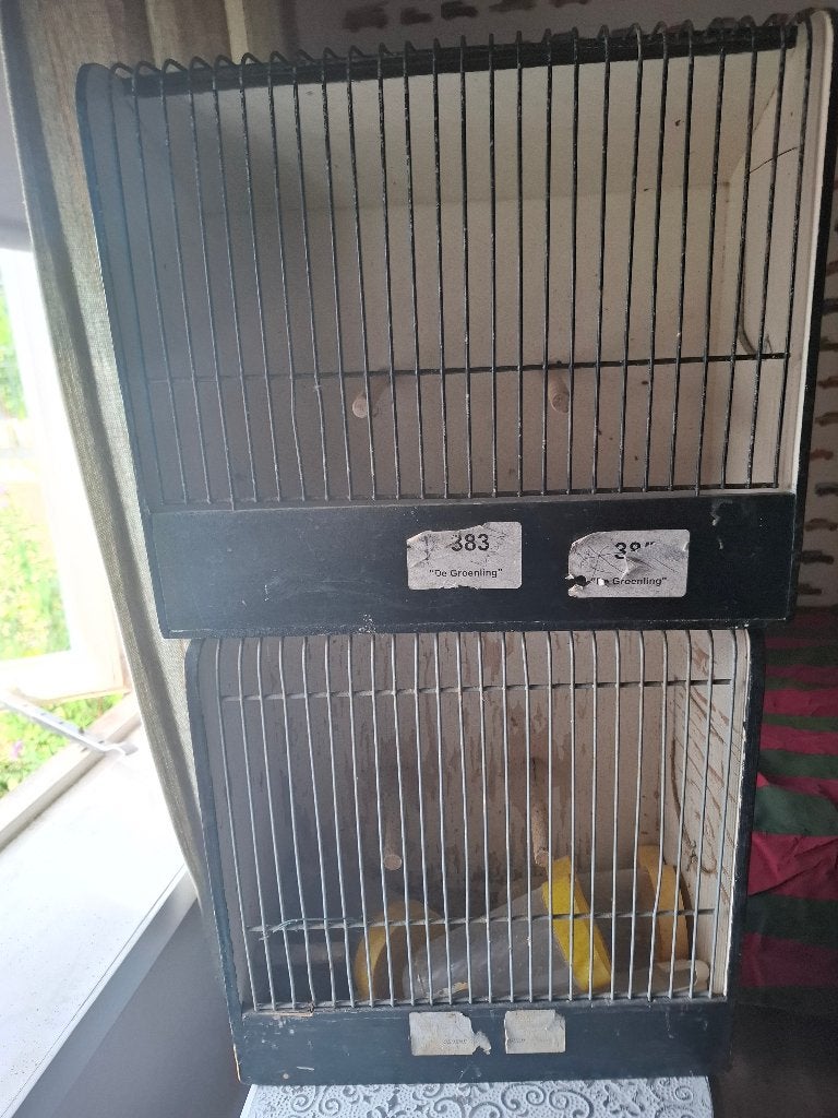 tentoonstelling kooitjes, Dieren en Toebehoren, Vogels | Hokken en Kooien, Ophalen, Gebruikt, Hout, Vogelkooi
