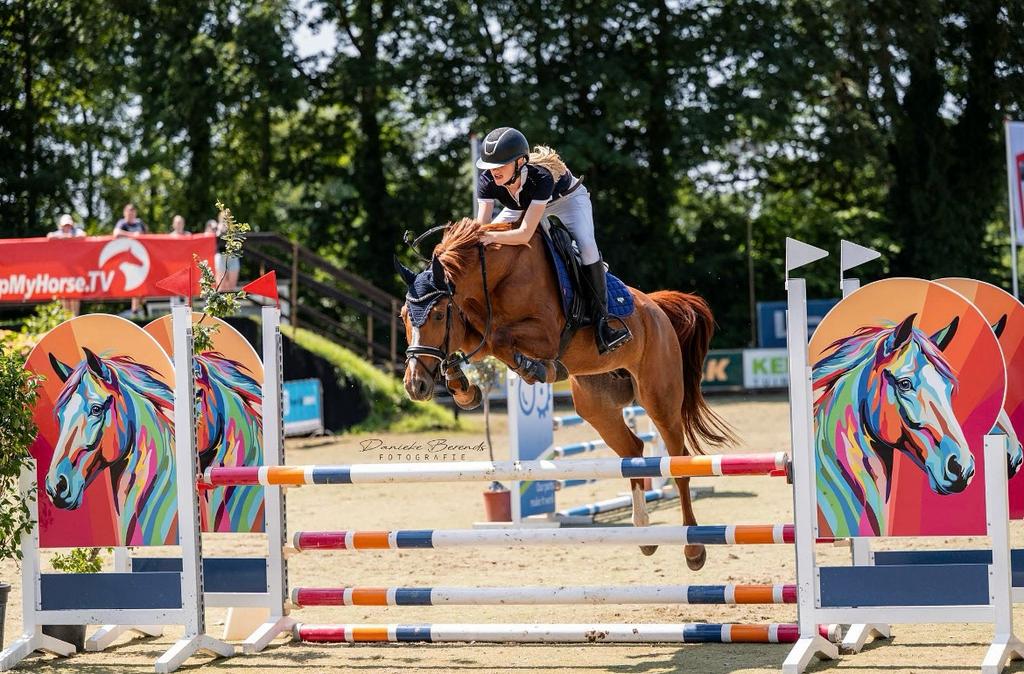 Verzorg pony/paard aangeboden, Ophalen of Verzenden, Nieuw