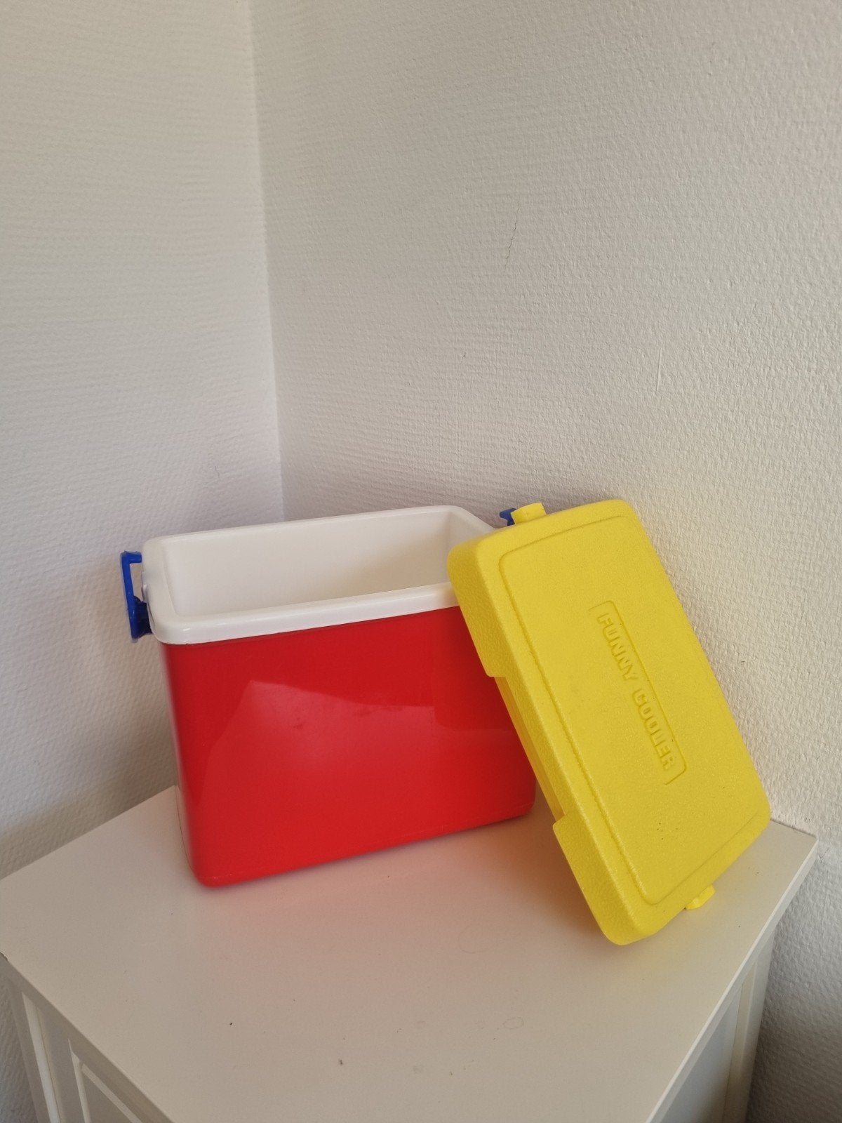 Coolbox Funny Cooler - Compacte Koelbox, Ophalen, Gebruikt, Koelbox, Koelelement