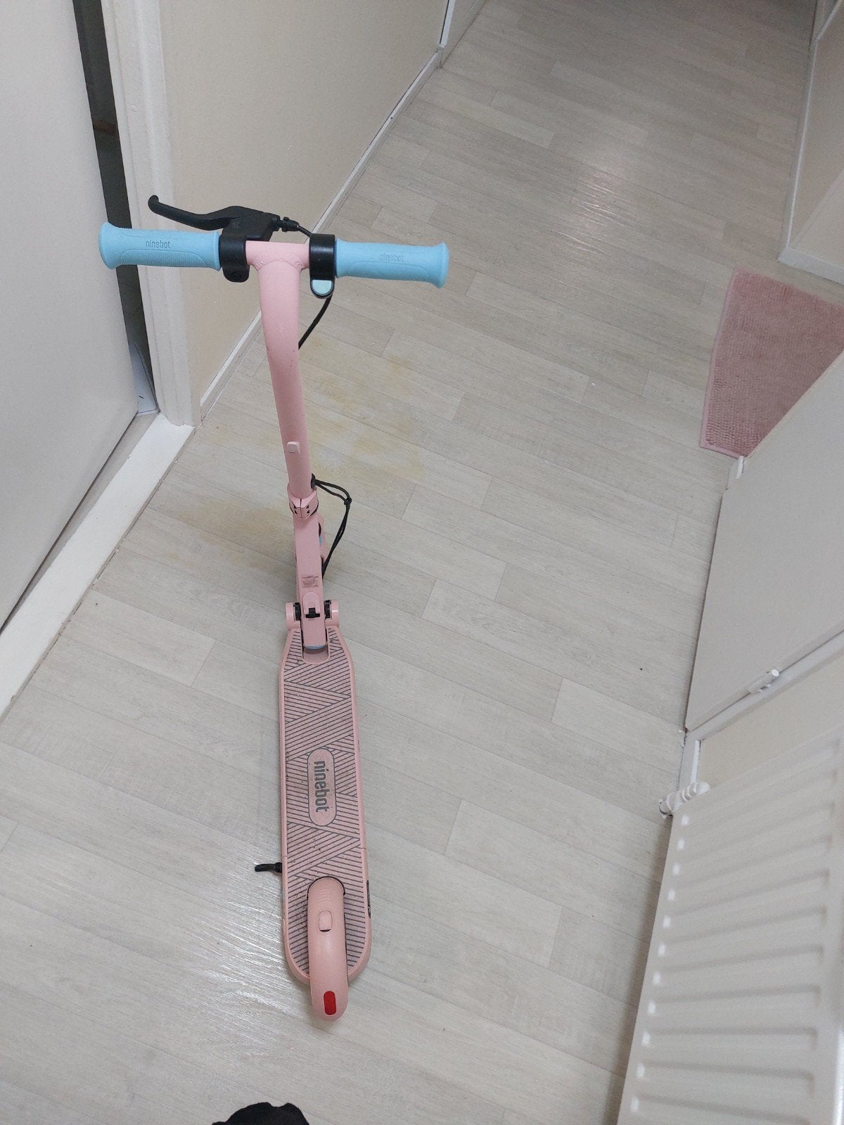 Ninebot elektrische step - werkt soms niet, Ophalen, Gebruikt, Elektrische step (E-scooter), Ninebot