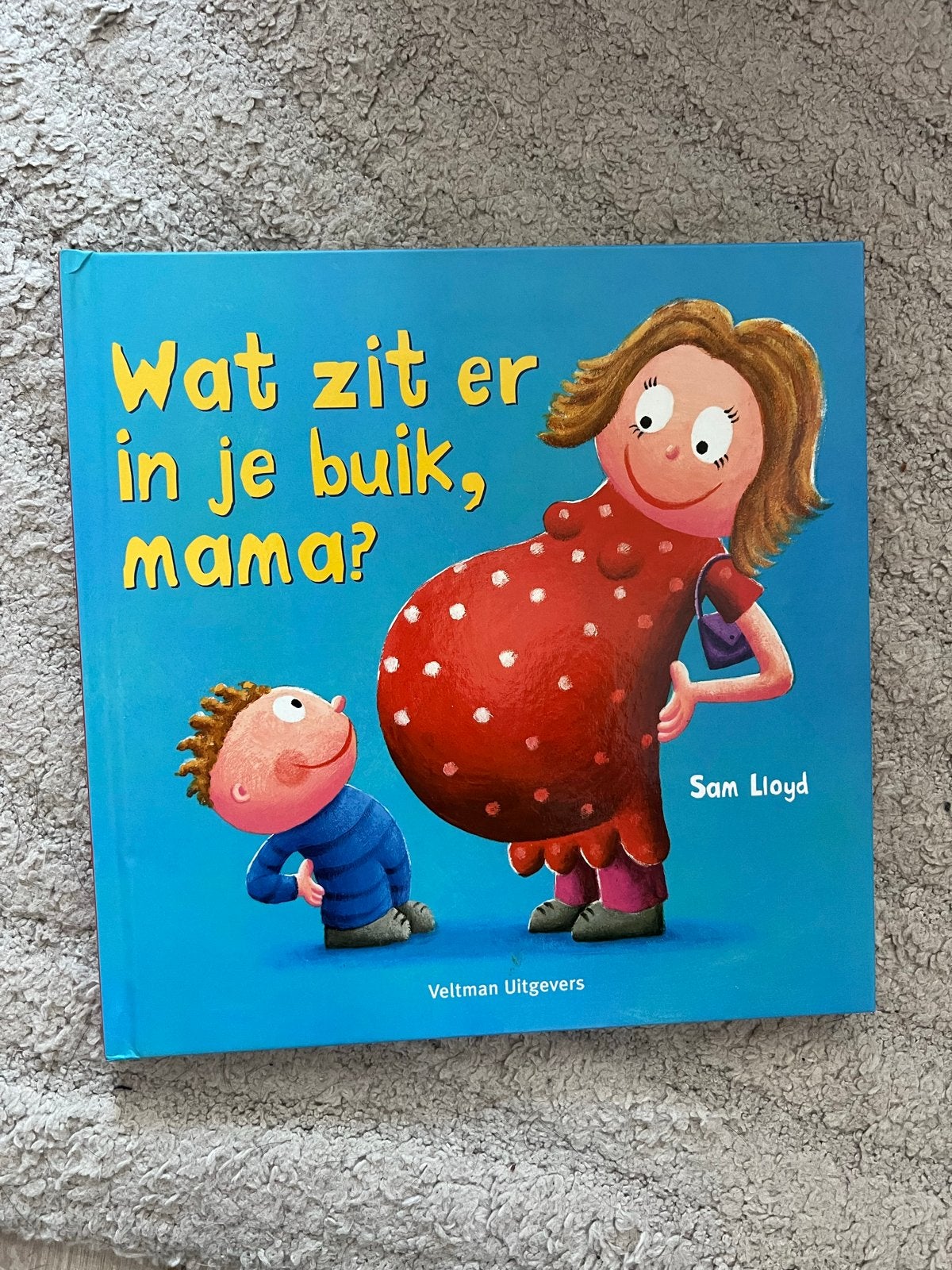 Wat zit er in je buik, mama? - Sam Lloyd, Boeken, Ophalen of Verzenden, Zo goed als nieuw, Zwangerschap en Bevalling