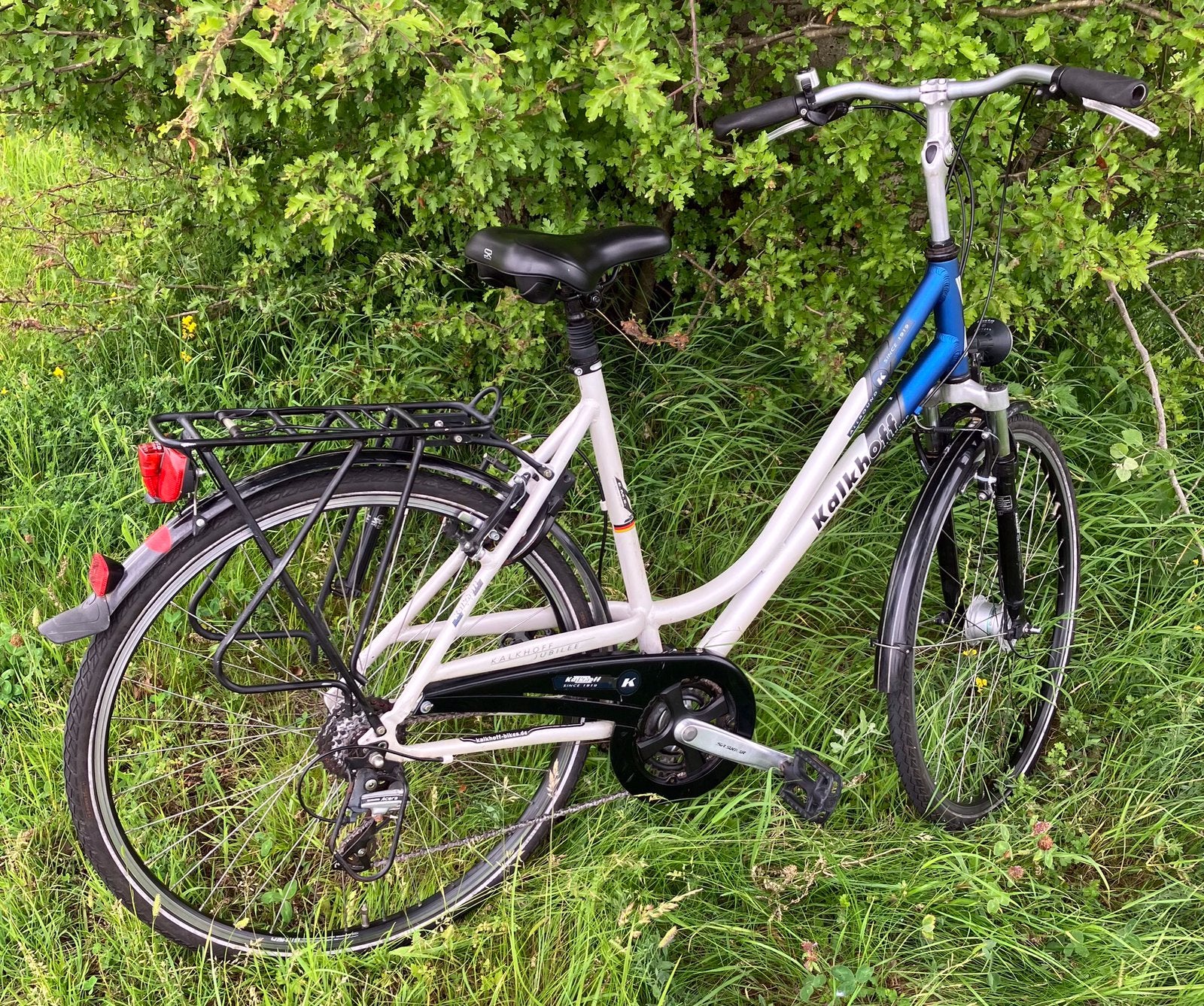 Damesfiets, Fietsen en Brommers, Fietsen | Dames | Damesfietsen, Versnellingen, Ophalen, Overige merken, 53 tot 56 cm