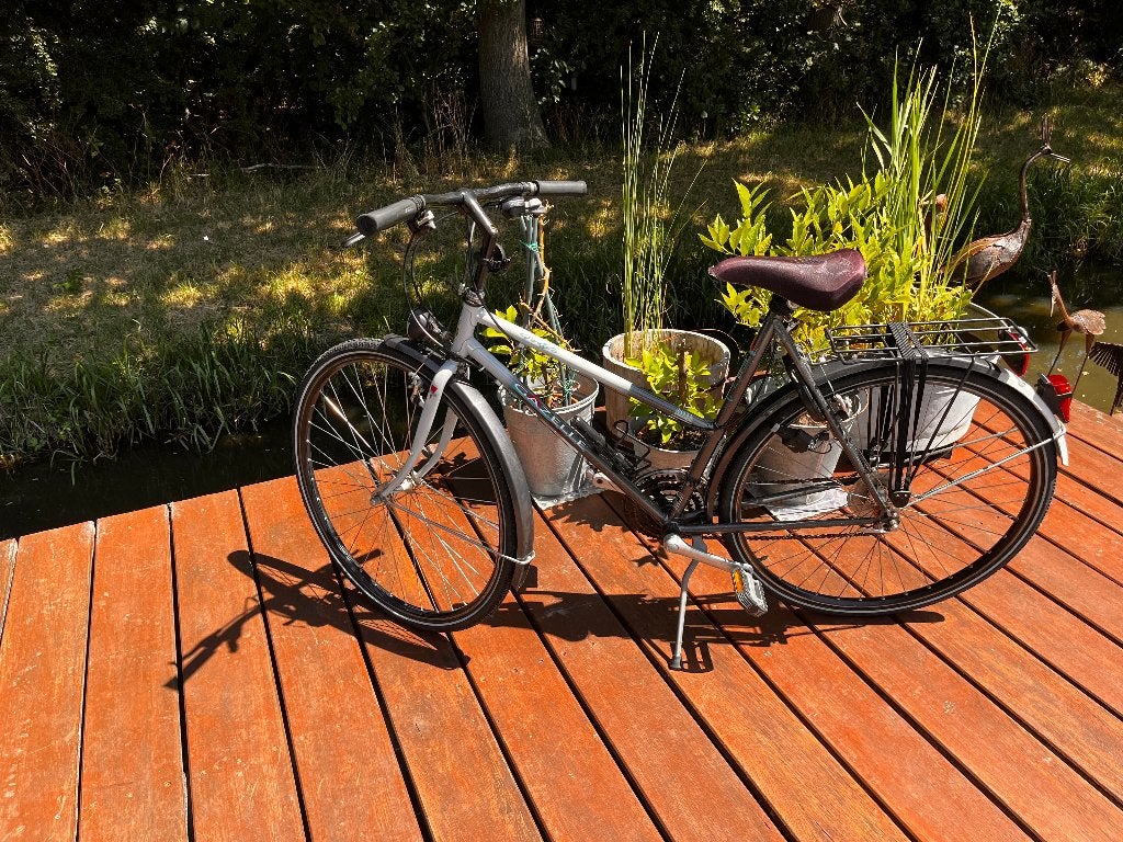 Gazelle Golfo dames sportfiets, Ophalen, 28 inch, Velgrem, 15 tot 20 versnellingen