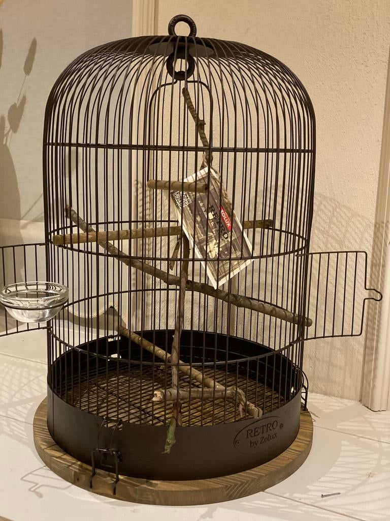 Vogelkooi, retro, bruin metaal en hout., Dieren en Toebehoren, Vogels | Hokken en Kooien, Ophalen of Verzenden, Nieuw, Metaal