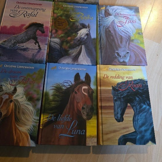 Christine Linneweever paarden kinderboeken, Fictie algemeen, Ophalen of Verzenden, Zo goed als nieuw, Christine Linneweever