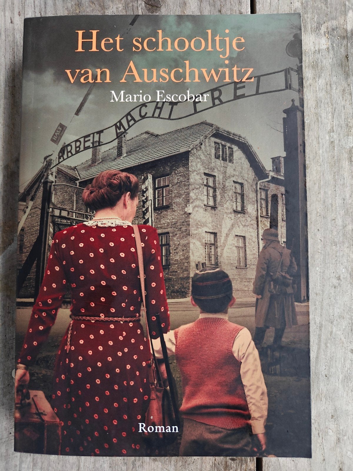 Het schooltje van Auschwitz - Mario Escobar (Roman), Boeken, Ophalen of Verzenden, Zo goed als nieuw, Mario Escobar