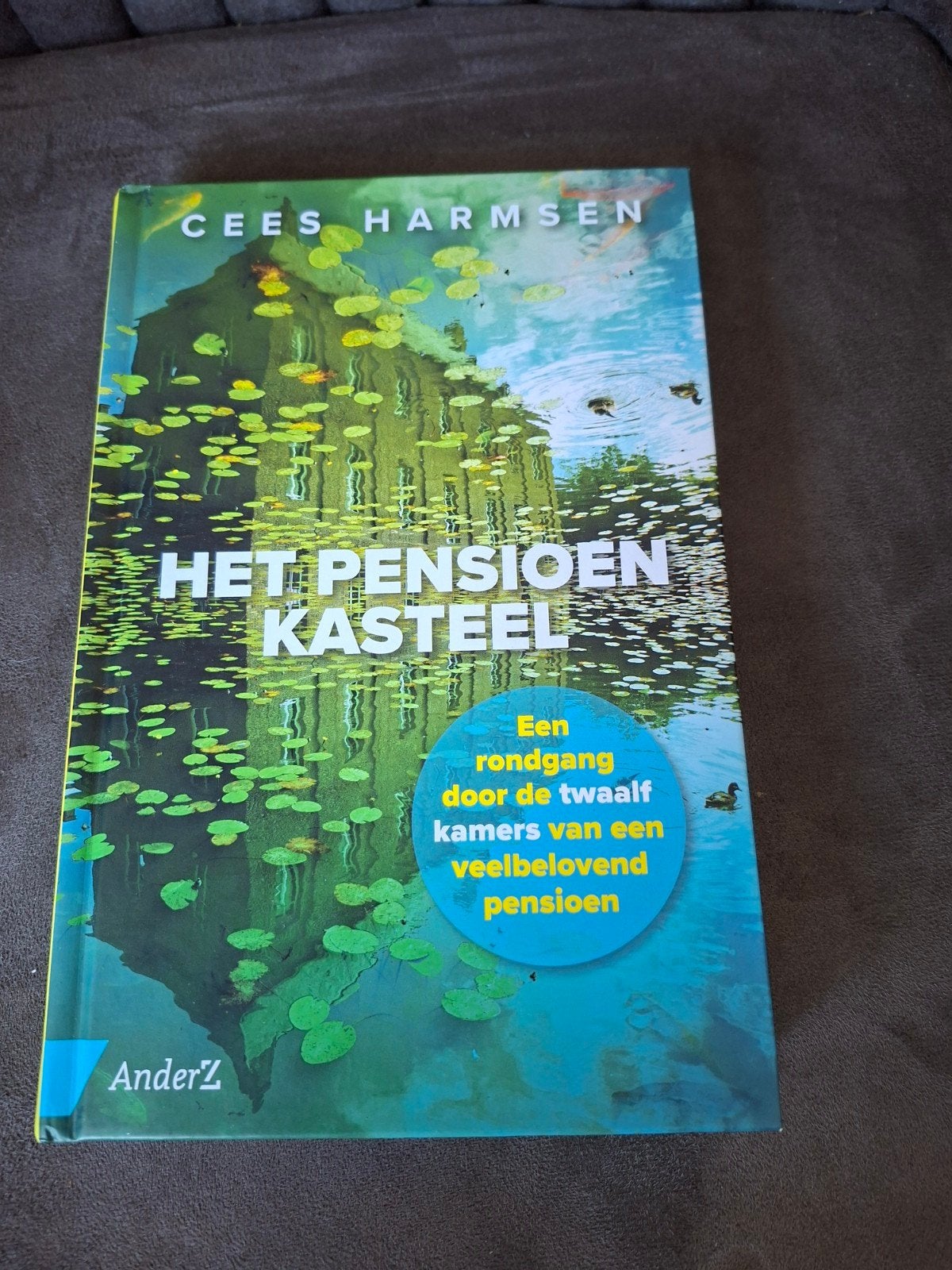 Het Pensioen Kasteel - Cees Harmsen, Ophalen of Verzenden, Zo goed als nieuw