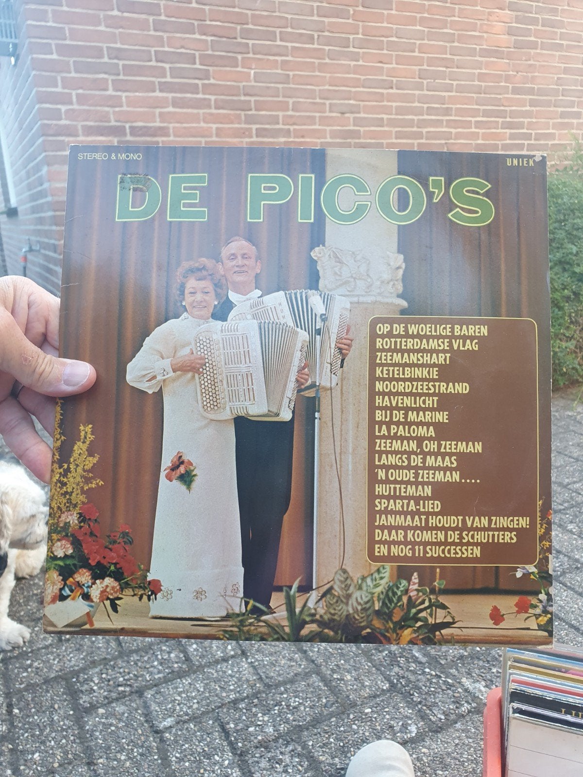 De Pico's - Uniek LP (Stereo & Mono), LP, Ophalen of Verzenden, 12 inch, Gebruikt
