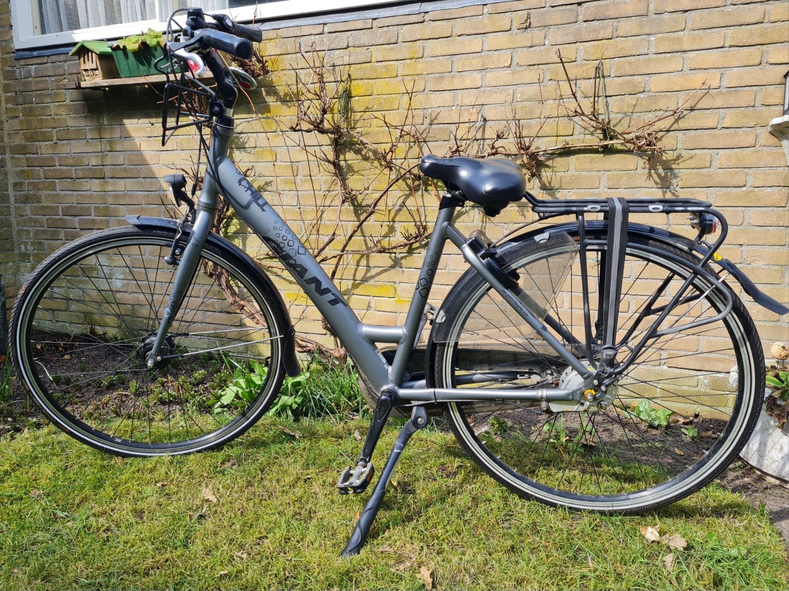 Giant city/trekking damesfiets 28 inch framemaat 51 EN 14764, Ophalen, Gebruikt, Versnellingen, Giant