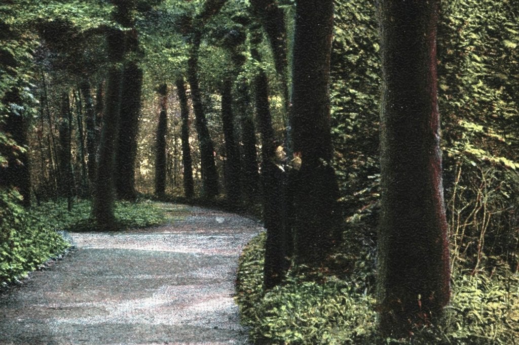 936001 Alkmaar De Hout 1906 Gelopen met zegel, Ophalen of Verzenden, Voor 1920, Gelopen, Noord-Holland