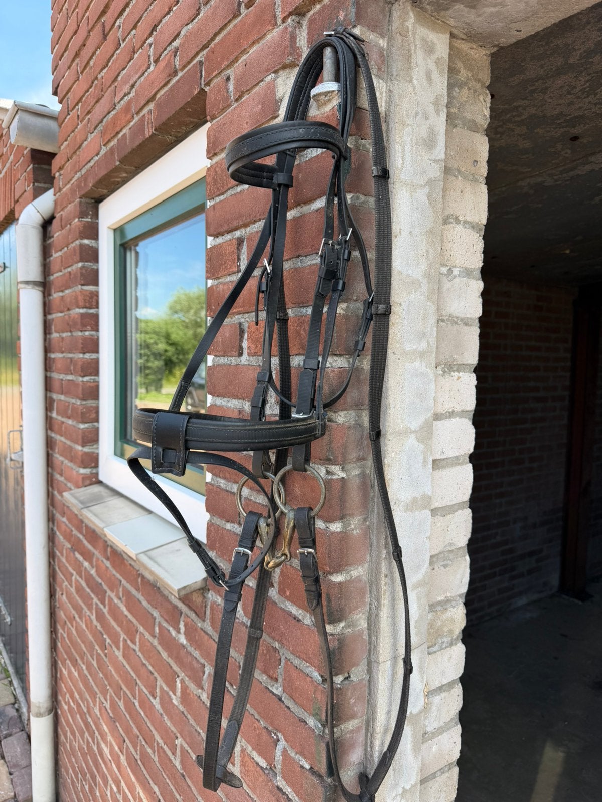 Zilco kunstof hoodstel, Hoofdstel, Nieuw, Ophalen of Verzenden, Zwart
