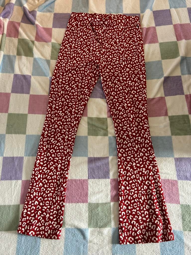 Colourful Rebel flared pants rode luipaard, maat XL, Maat 46/48 (XL) of groter, Nieuw, Ophalen of Verzenden, Lang