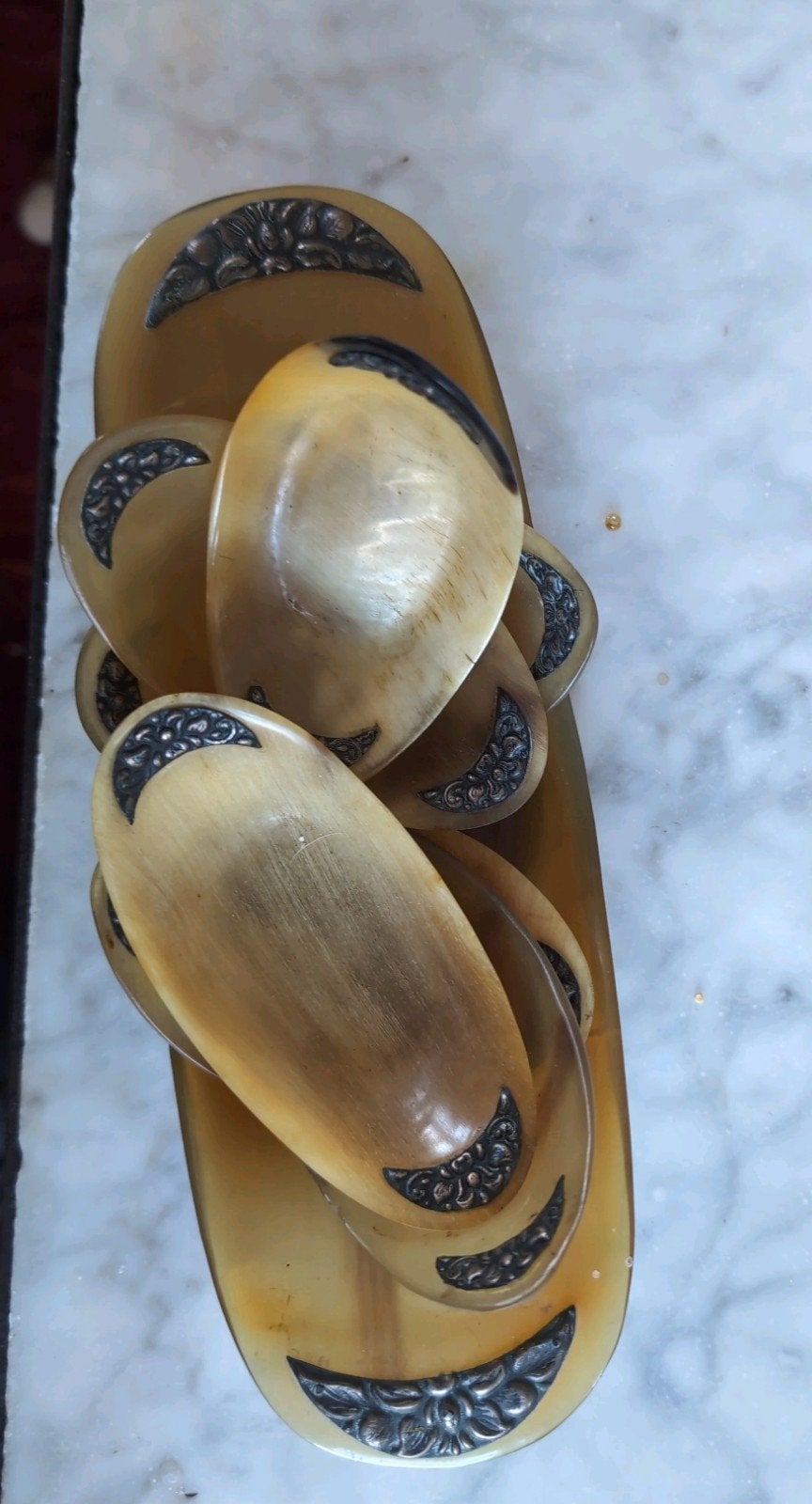 Indonesische hoornen schaaltjes 23 cm en 10 cm., Dieren en Toebehoren, Bijen