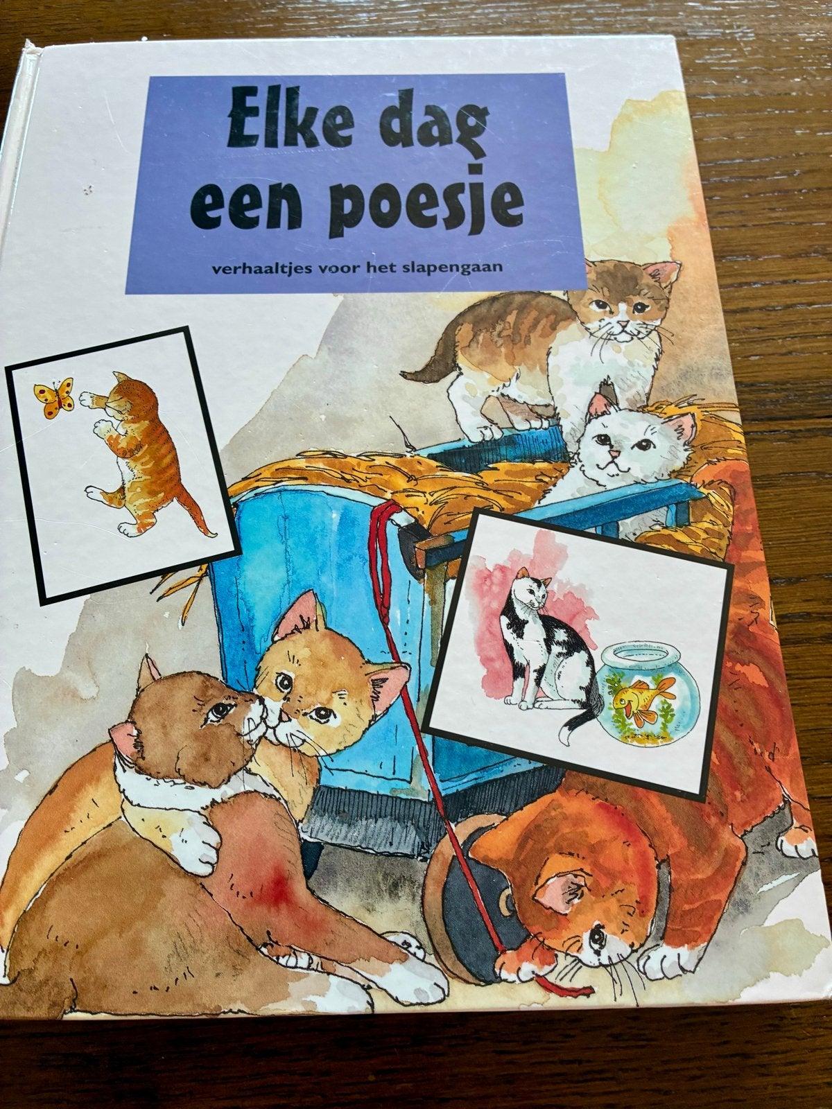 Elke dag een poesje: verhaaltjes voor het slapengaan, Boeken, Gelezen, Fictie algemeen, Jongen of Meisje, Ophalen of Verzenden