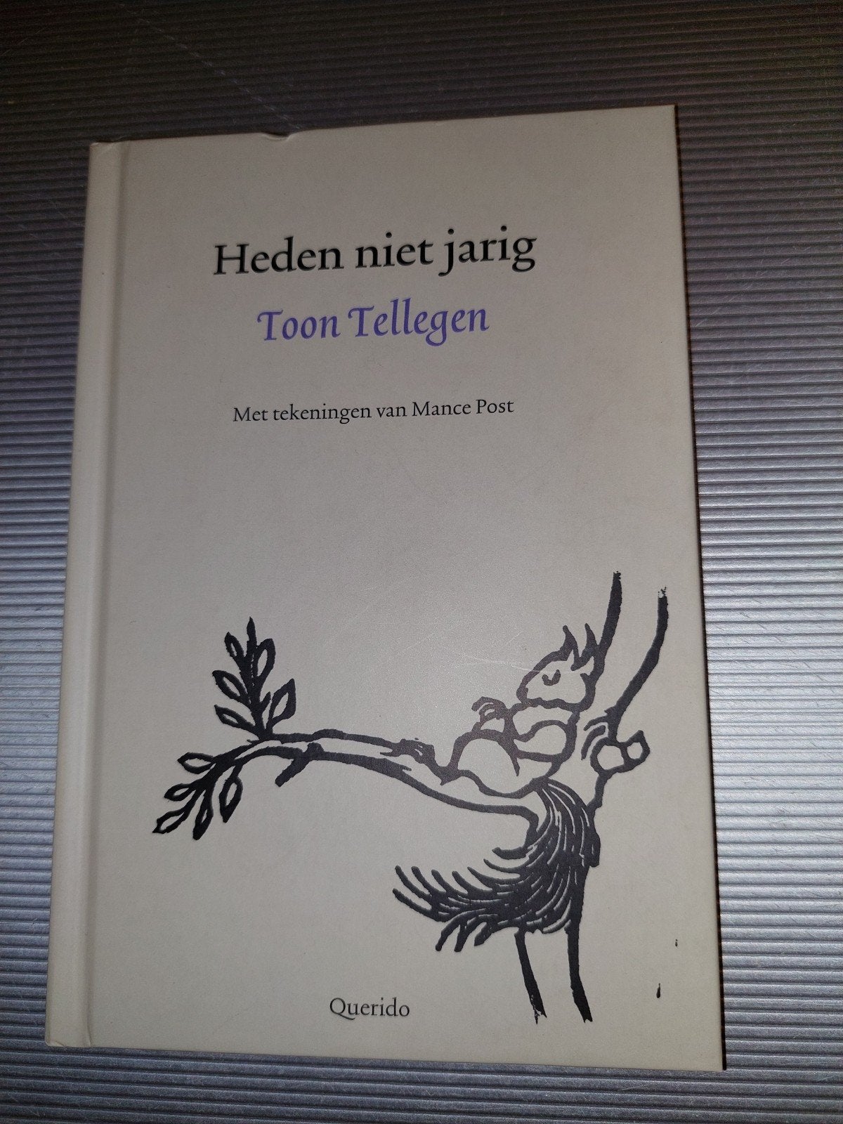 Heden niet jarig - Toon Tellegen (Querido), Ophalen of Verzenden, Zo goed als nieuw, Toon Tellegen, Nederland