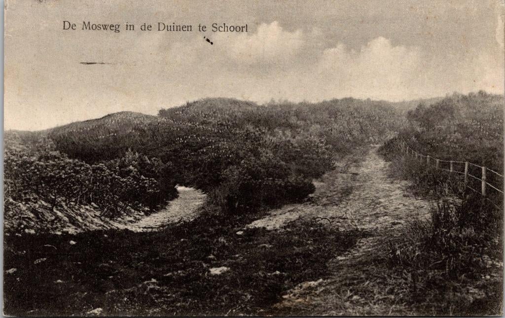 Schoorl - De Mosweg in de Duinen, Verzenden, 1920 tot 1940, Gelopen, Noord-Holland