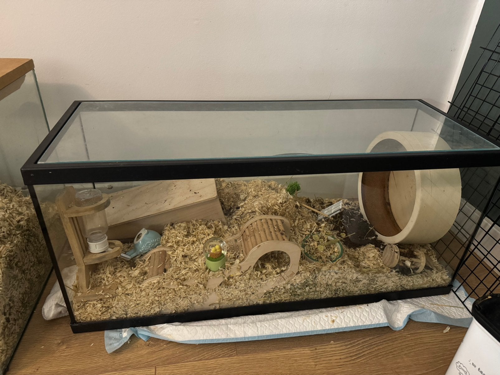 Hamsterhok glazen hok terrarium 78x24,5x34,5cm, Zo goed als nieuw, Ophalen, Minder dan 60 cm, Hok