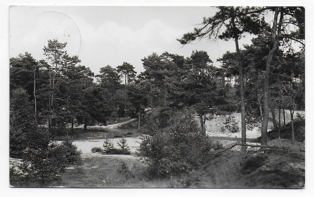 Baarn Vacantie kinderhuis - ansichtkaart ( B8176) uit 1956, Ophalen of Verzenden, 1940 tot 1960, Gelopen, Utrecht