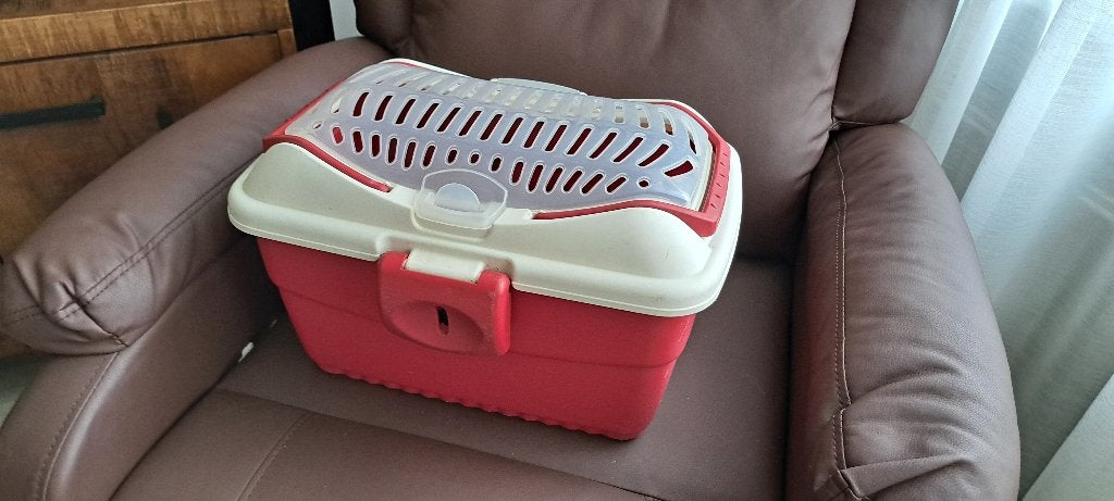 te koop grote knaagdieren reisbox 40 x 30 x 25 cm, Ophalen of Verzenden, Nieuw