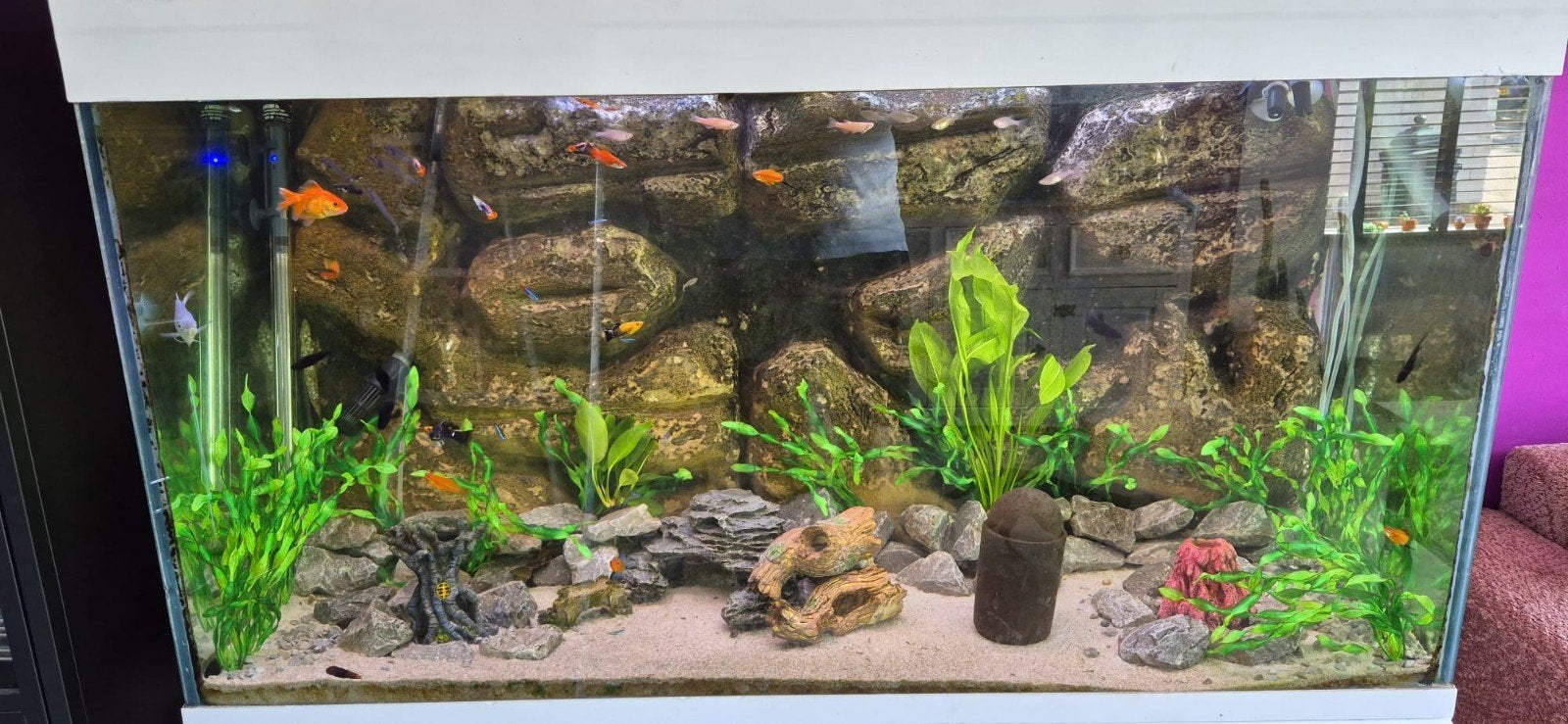 aquarium compleet, Ophalen, Gebruikt