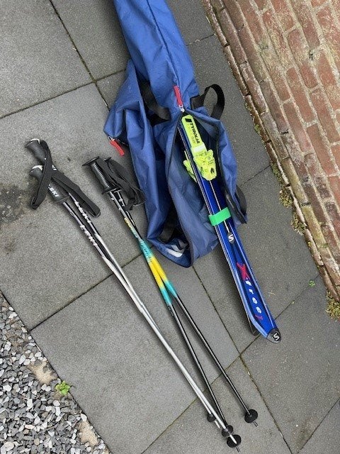 Salomon ski's + Tyrolia bindingen, Ophalen, 160 tot 180 cm, Gebruikt, Salomon