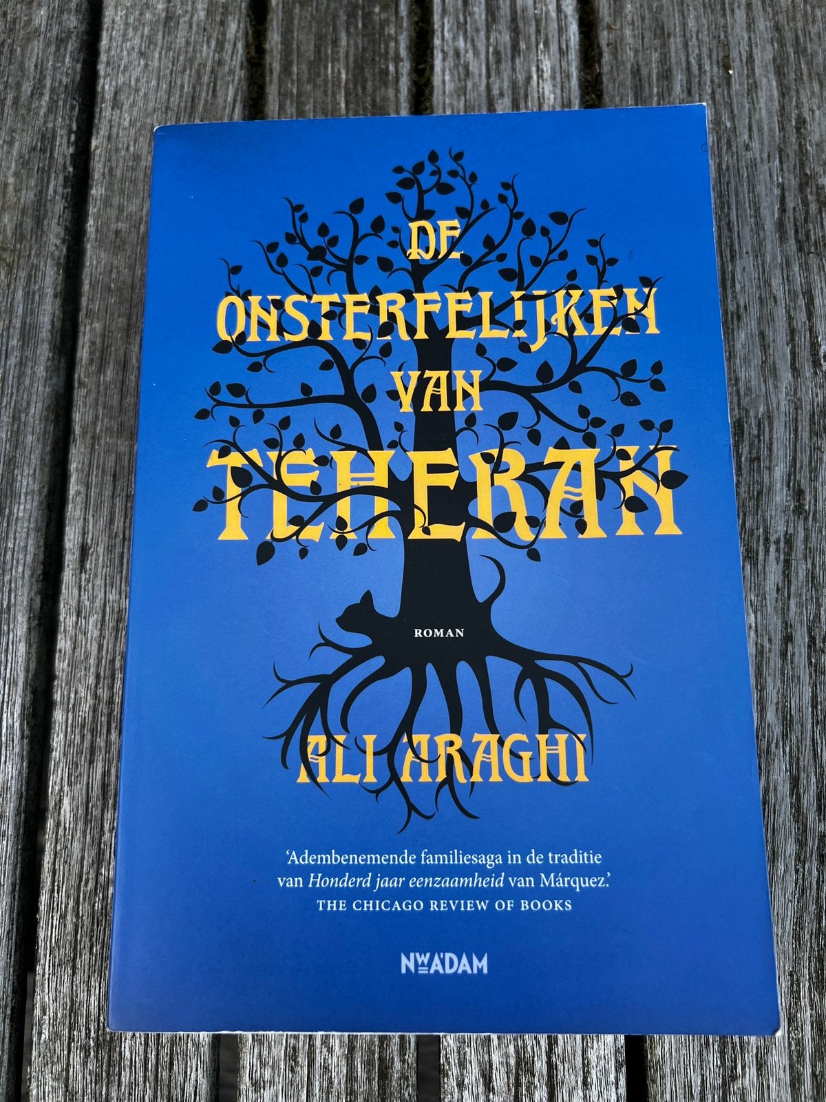 Ali Araghi - De onsterfelijken van Teheran, Boeken, Gelezen, Wereld overig, Ophalen of Verzenden, Ali Araghi