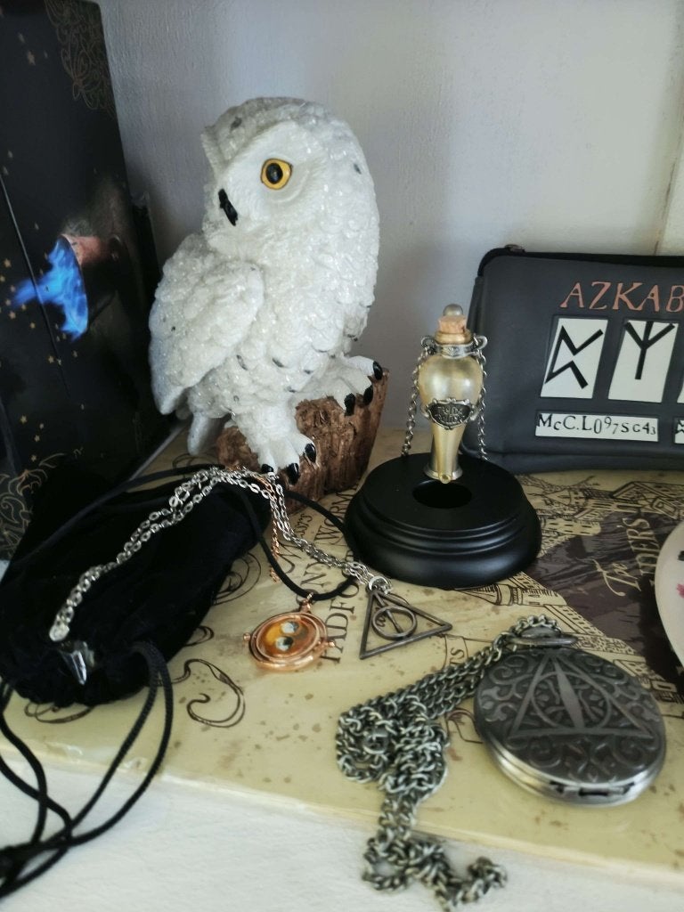Harry Potter/Fantastic Beasts merch, Ophalen of Verzenden, Nieuw, Overige typen