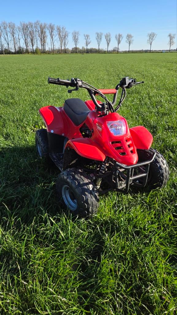 110cc kinder quad, Ophalen, Overige typen