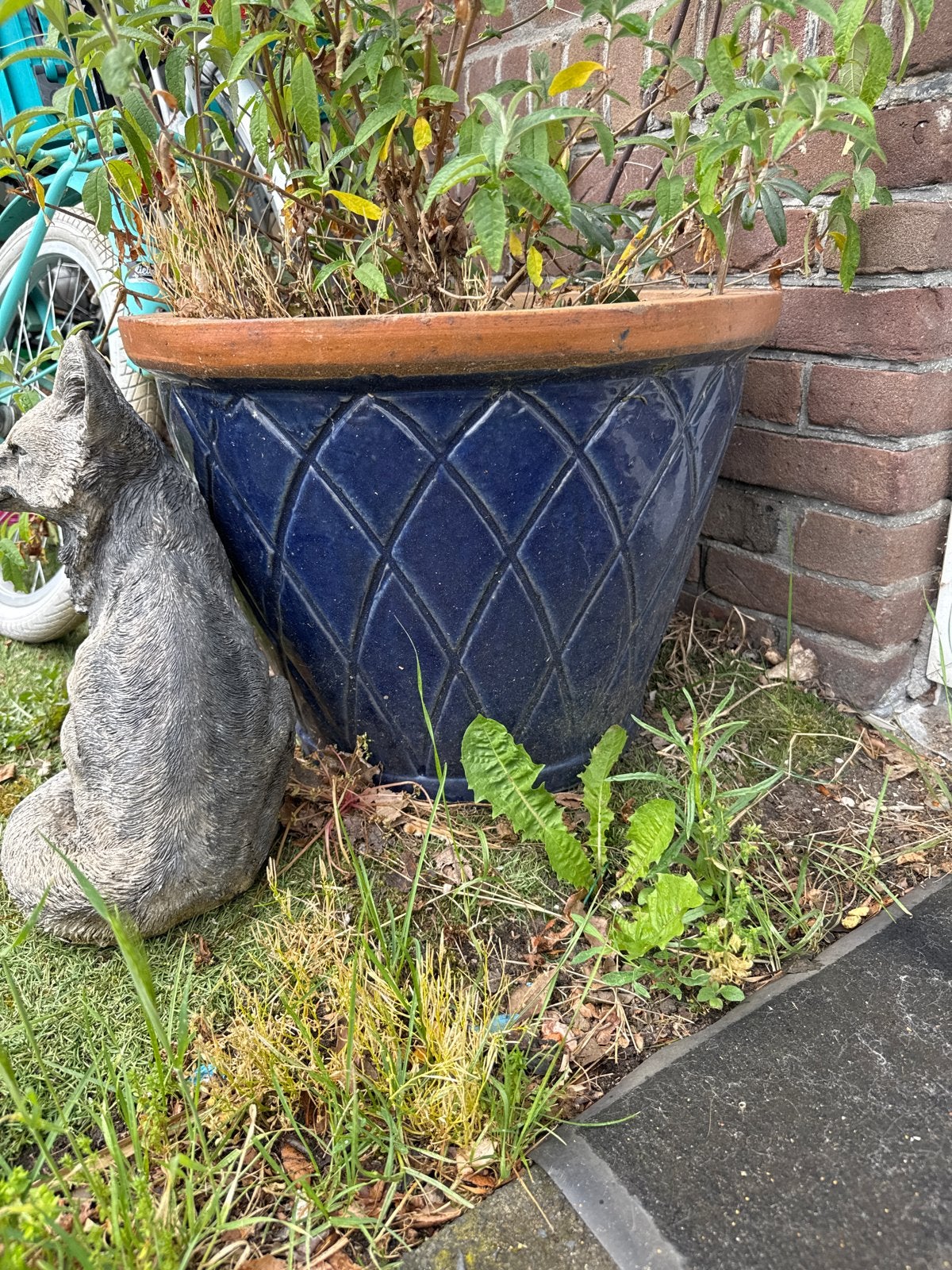 Grote blauwe bloempot met ruitpatroon, Tuin en Terras, Bloempotten, Ophalen, Gebruikt, Balkon, 40 cm of meer