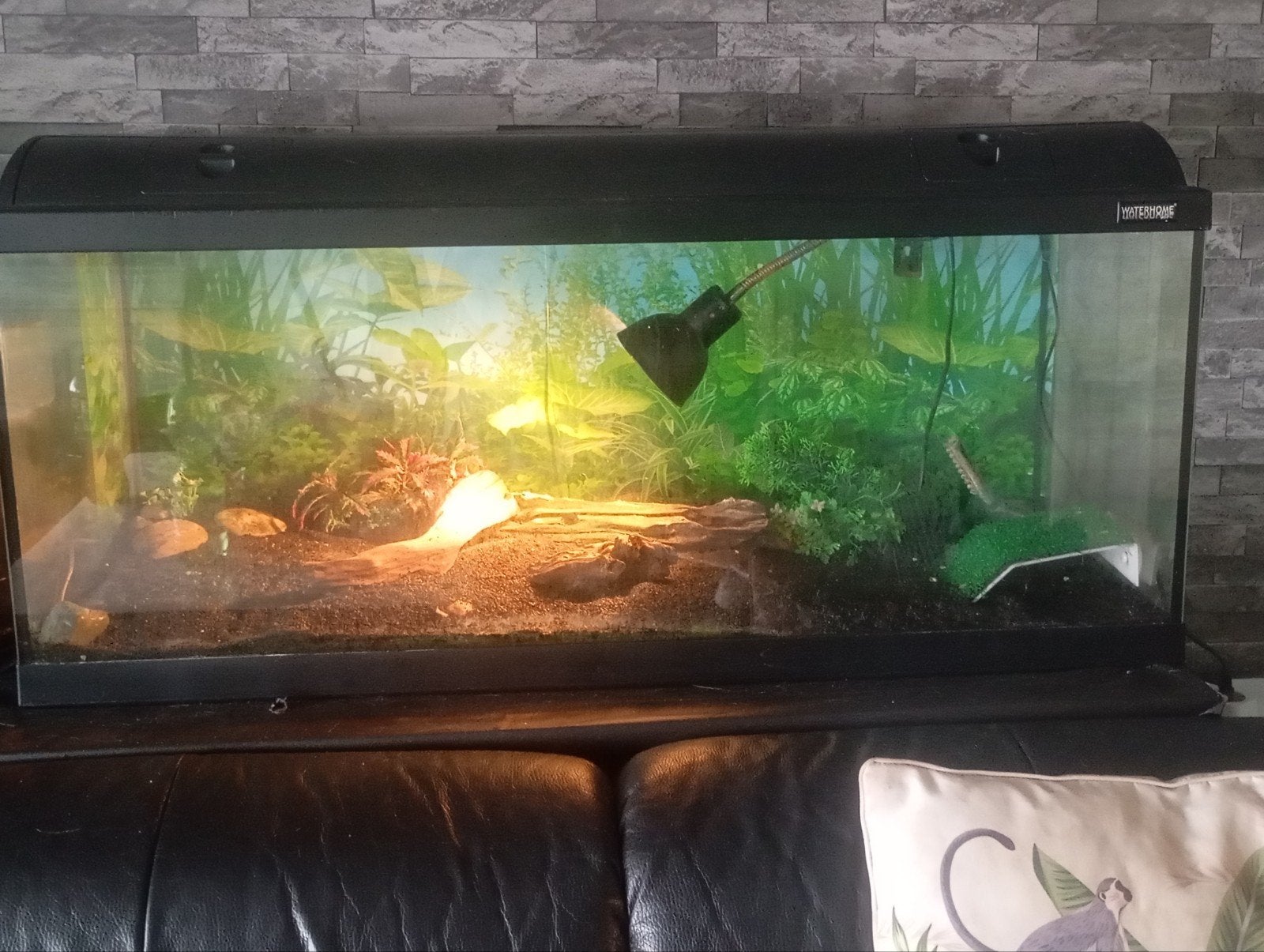 schildpad aquarium/terrarium, Dieren en Toebehoren, Ophalen, Gebruikt, Leeg aquarium