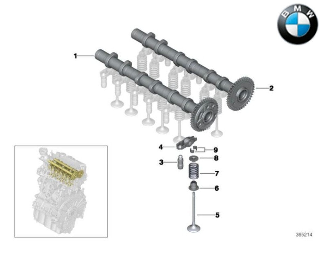 Nieuw orig nokkenassen 2 st BMW F20 F45 X1 F48 MINI F55 F56, Auto-onderdelen, Motor en Toebehoren, Ophalen of Verzenden, Nieuw