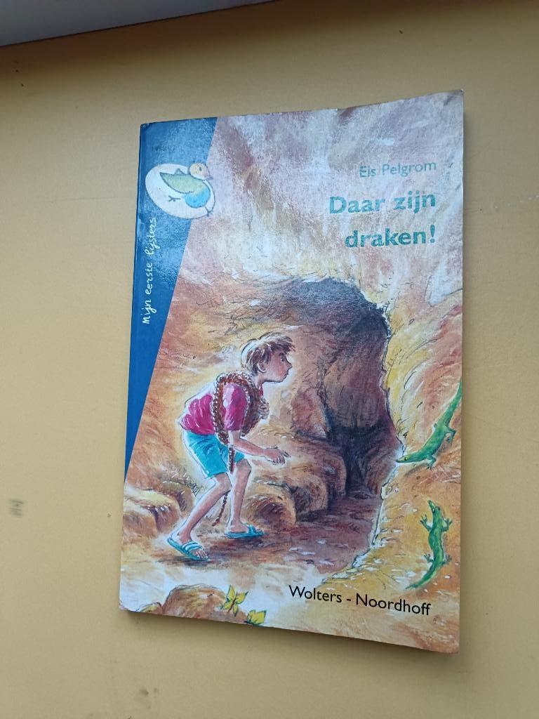 Els Pelgrom – Daar zijn draken!, Boeken, Ophalen of Verzenden, Els Pelgrom, Fictie algemeen
