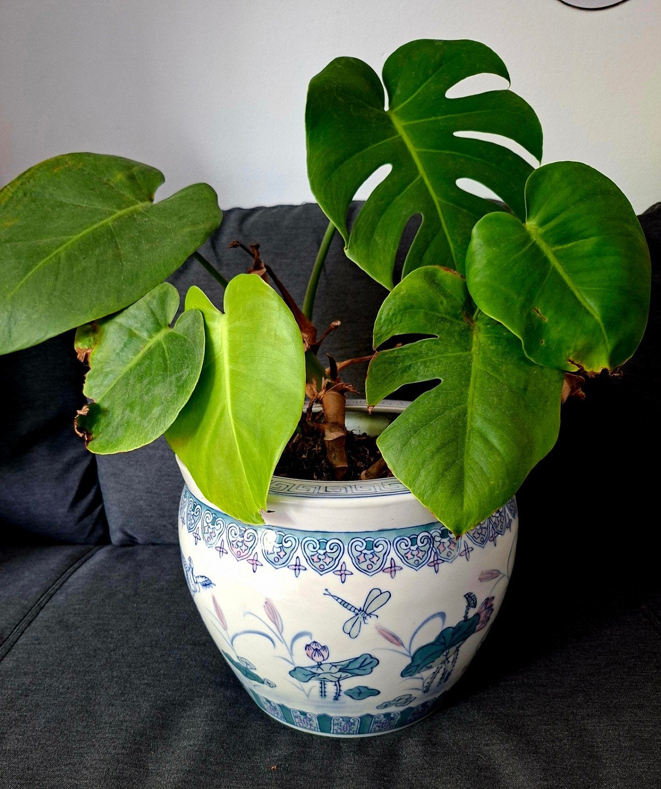 Vintage bloempot met Chinese motieven, incl Monstera plant, Tuin en Terras, Bloempotten, Gebruikt, Rond, Minder dan 40 cm, Aardewerk
