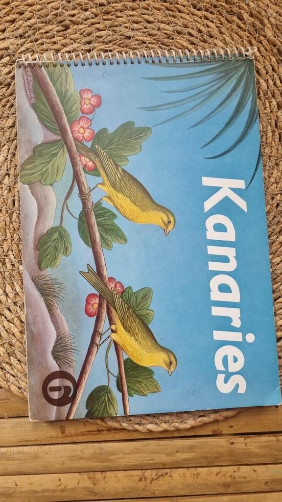 Kanaries - Prachtige geïllustreerde uitgave over kanaries, Ophalen of Verzenden, Gelezen, Vogels, Joh. Lentink