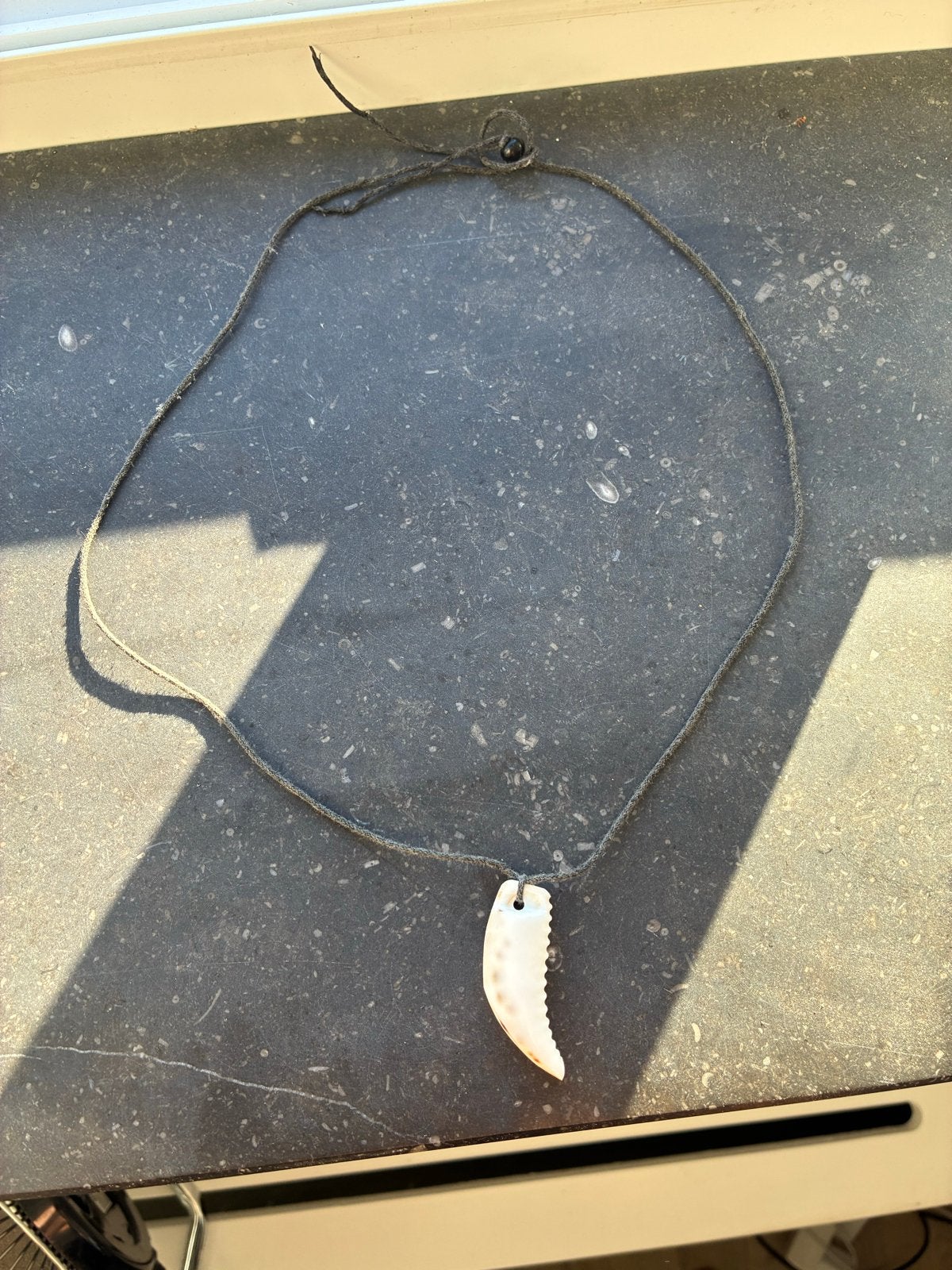 Unieke ketting met tandvormige hanger, Sieraden, Tassen en Uiterlijk, Kettingen, Met hanger, Gebruikt, Wit, Ophalen of Verzenden