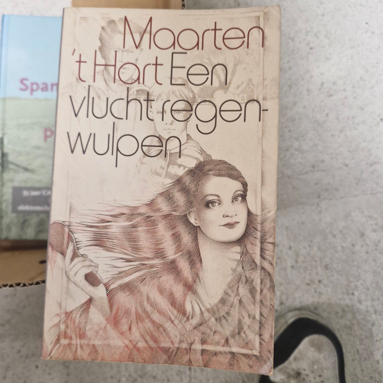 Maarten 't Hart - Een vlucht regenwulpen