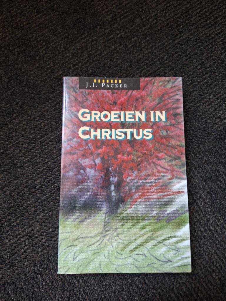 J.I. Packer - Groeien in Christus, Ophalen of Verzenden, Zo goed als nieuw, J.I. Packer