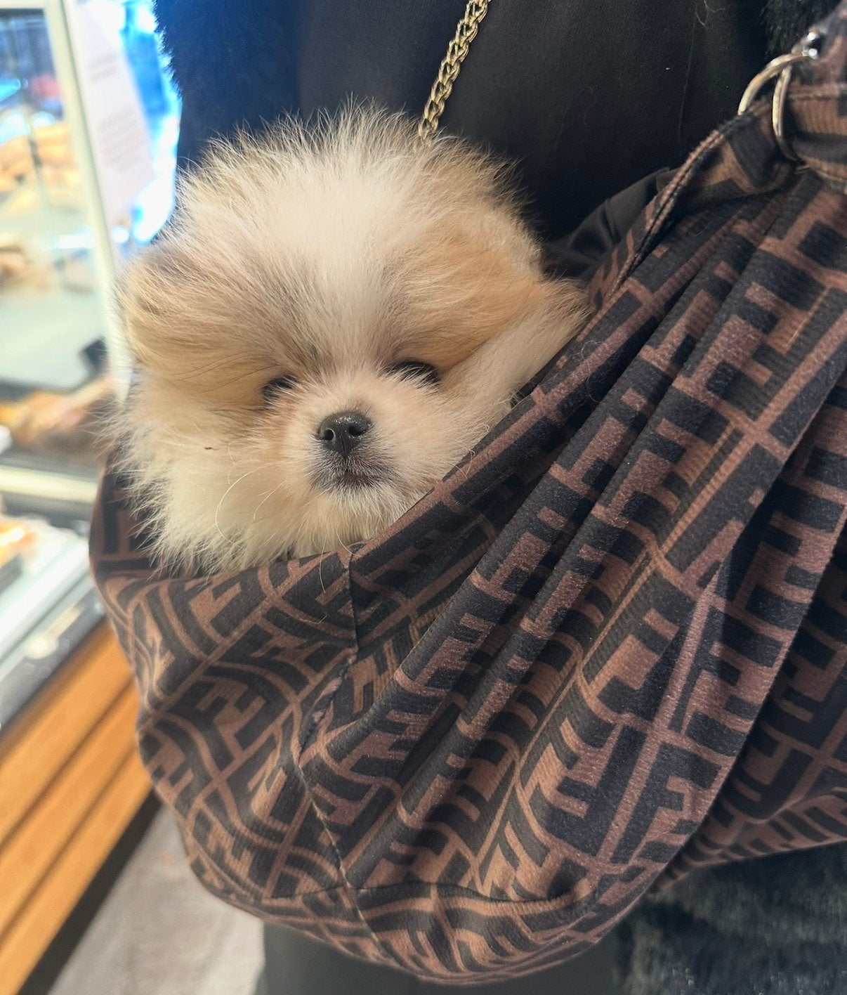 Honden fendi dtaagtas, Dieren en Toebehoren, Ophalen, Zo goed als nieuw