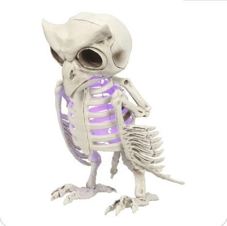 skelet uil met licht, Ophalen of Verzenden, Nieuw, Versiering, Halloween of Griezel