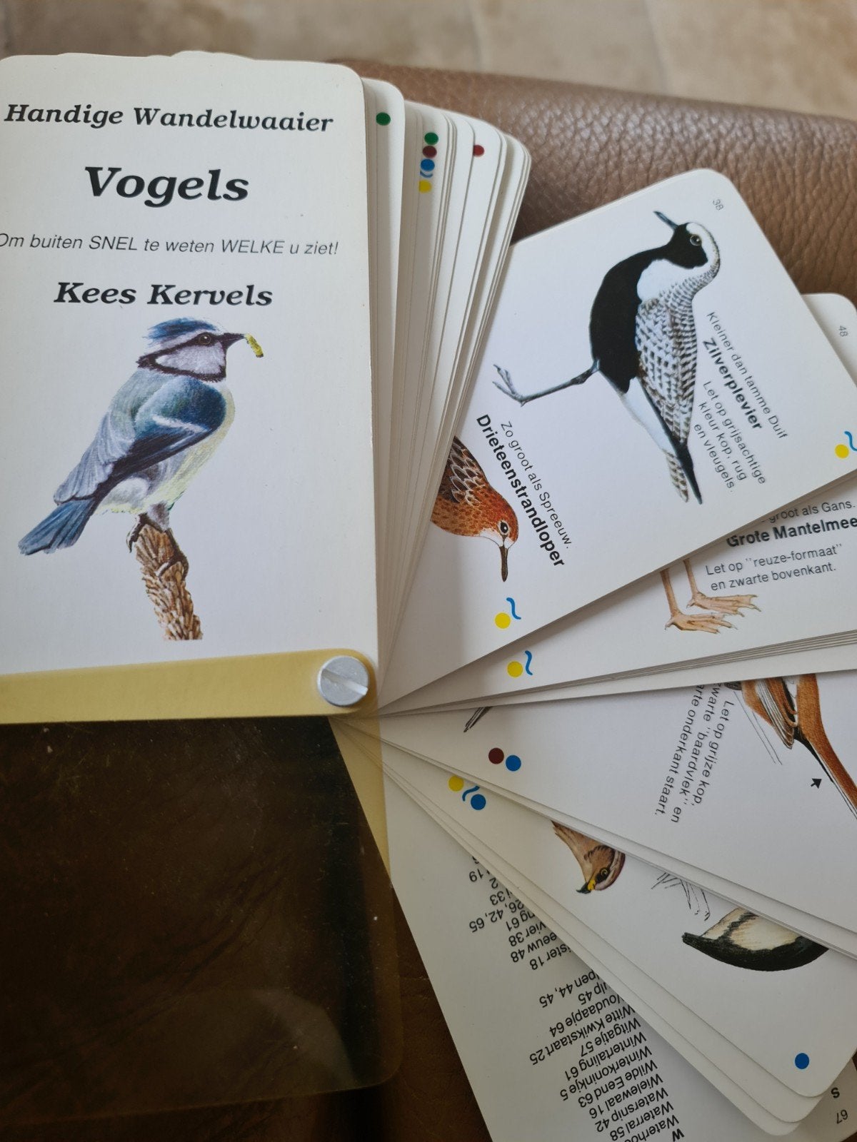 Handige Wandelwaaier Vogels - Kees Kervels, Ophalen of Verzenden, Zo goed als nieuw, Vogels, Kees Kervels